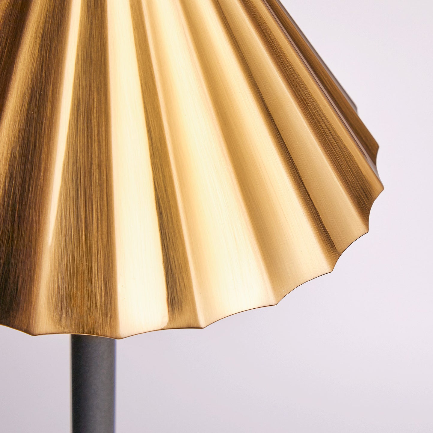 Twinky rechargeable floor lamp in black with a brass hood