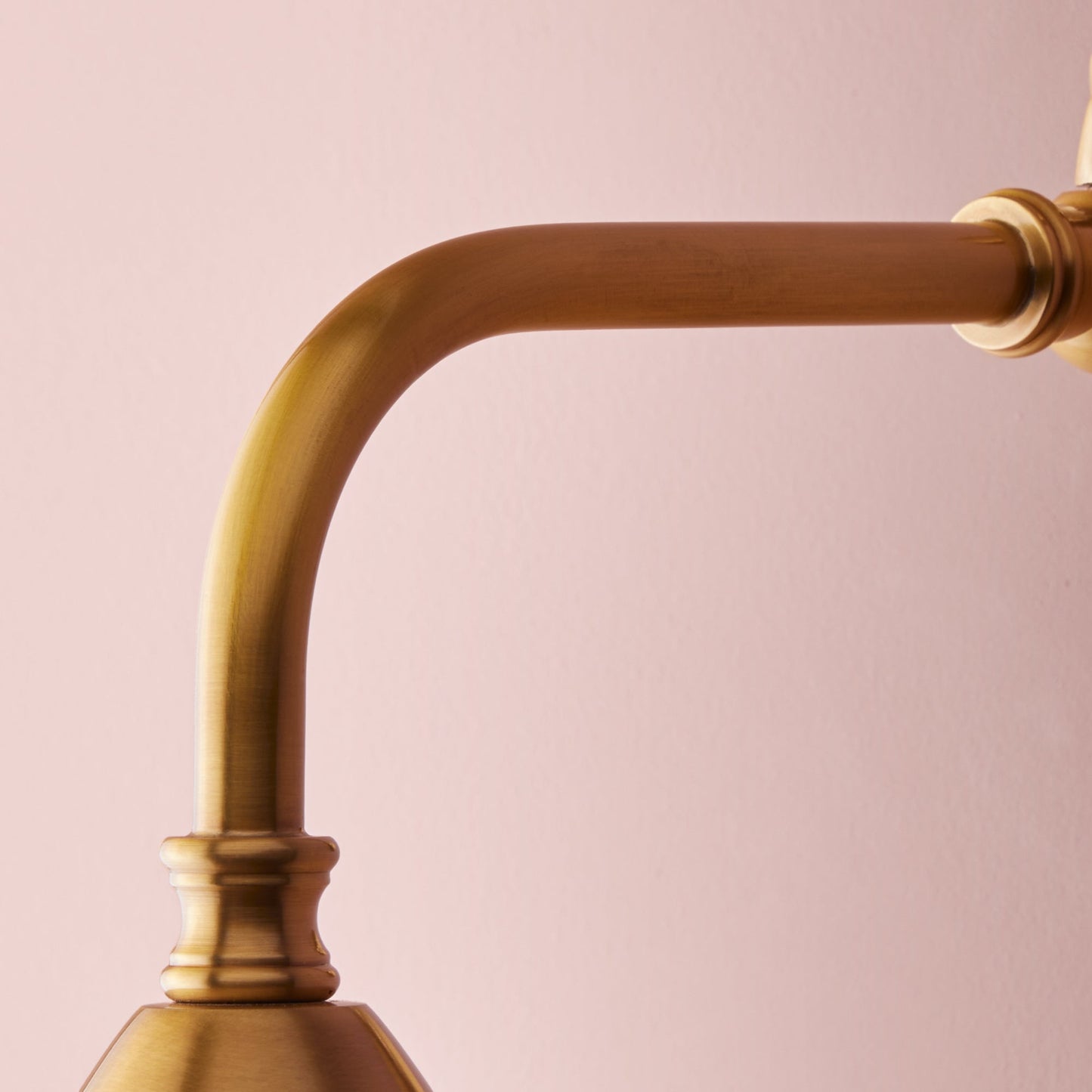 Clematis Wall Light in Antiqued Brass