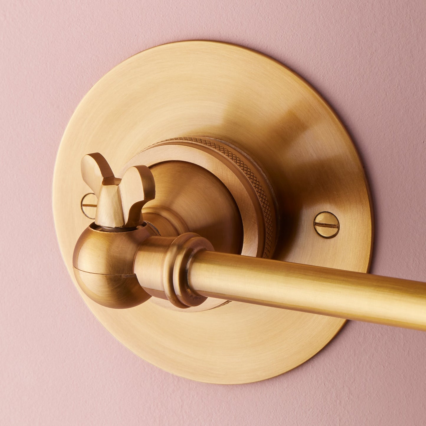 Clematis Wall Light in Antiqued Brass