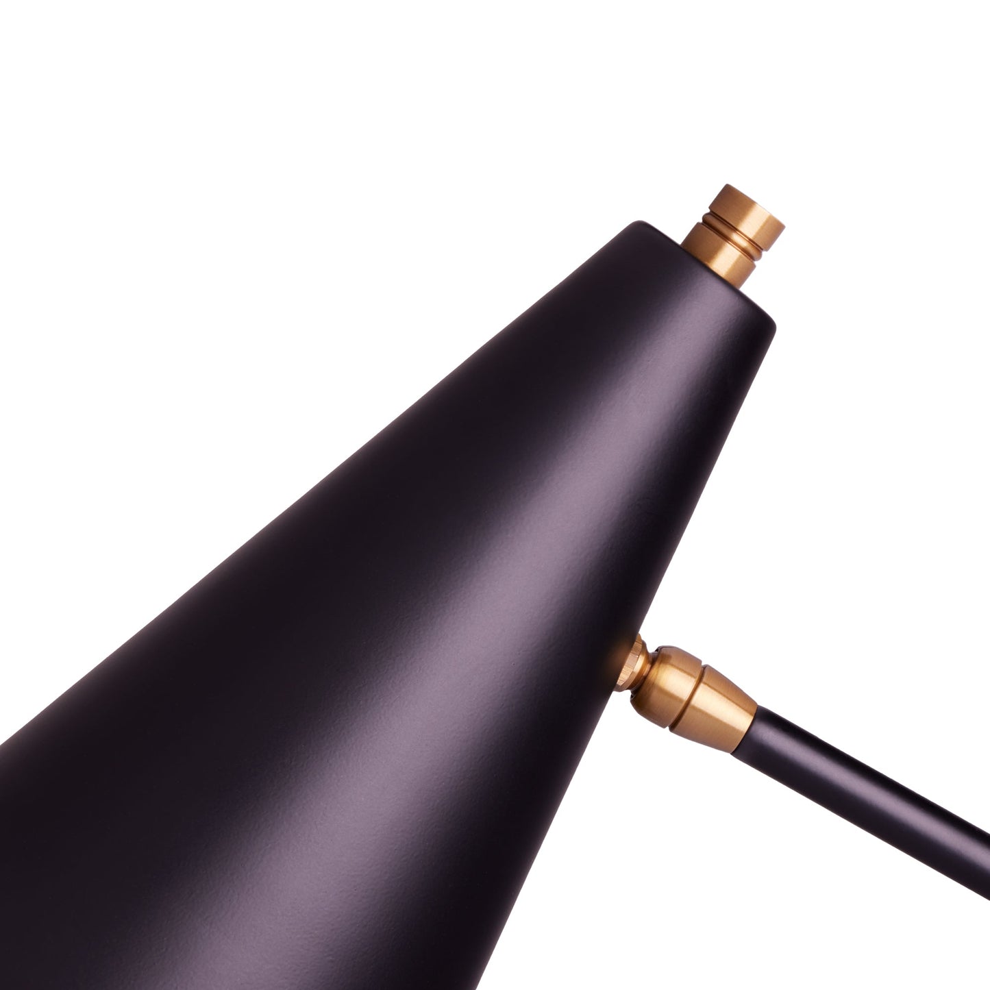 Mo floor lamp in brass with a black hood