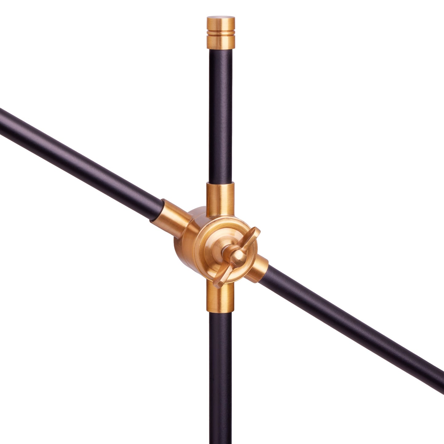Mo floor lamp in brass with a black hood