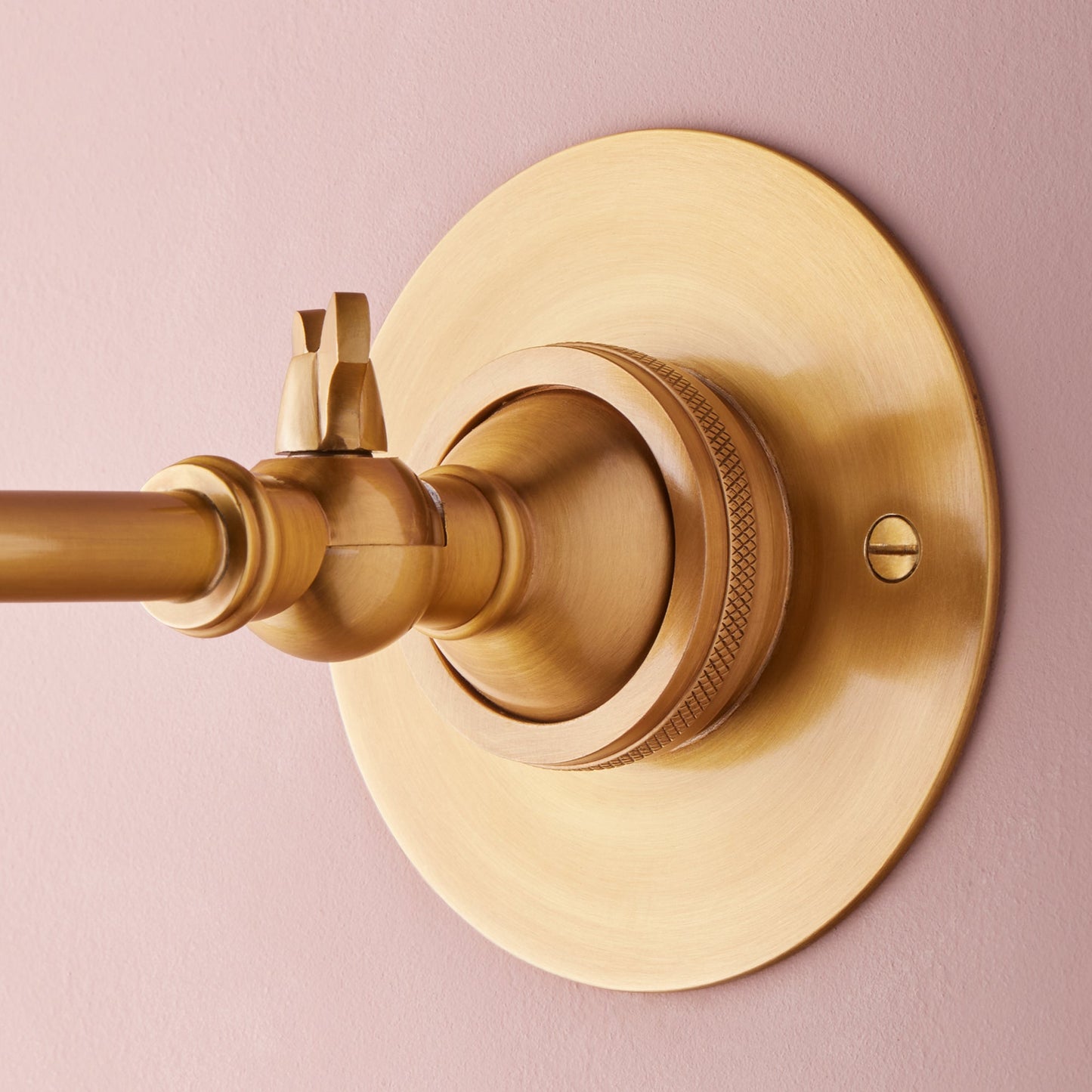 Clematis Wall Light in Antiqued Brass