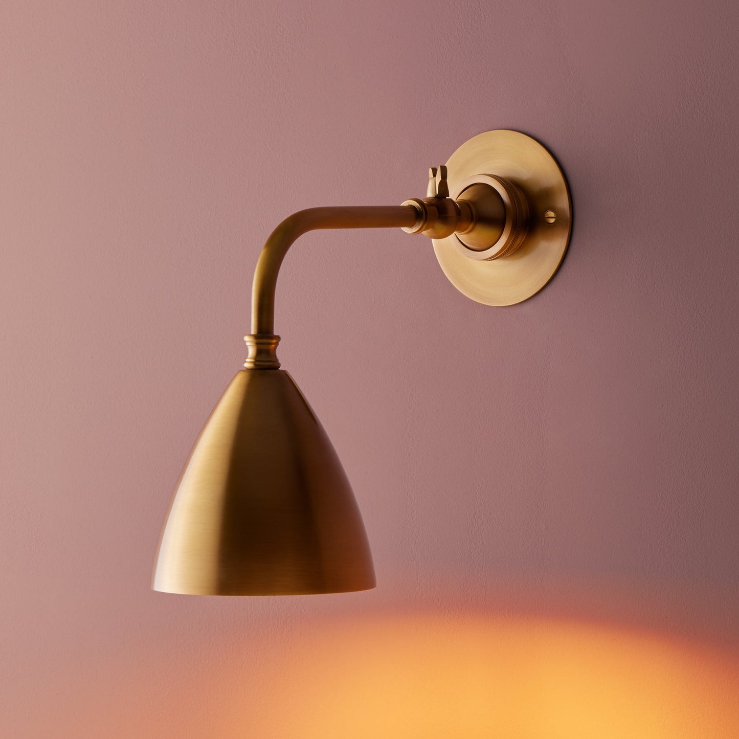 Clematis Wall Light in Antiqued Brass