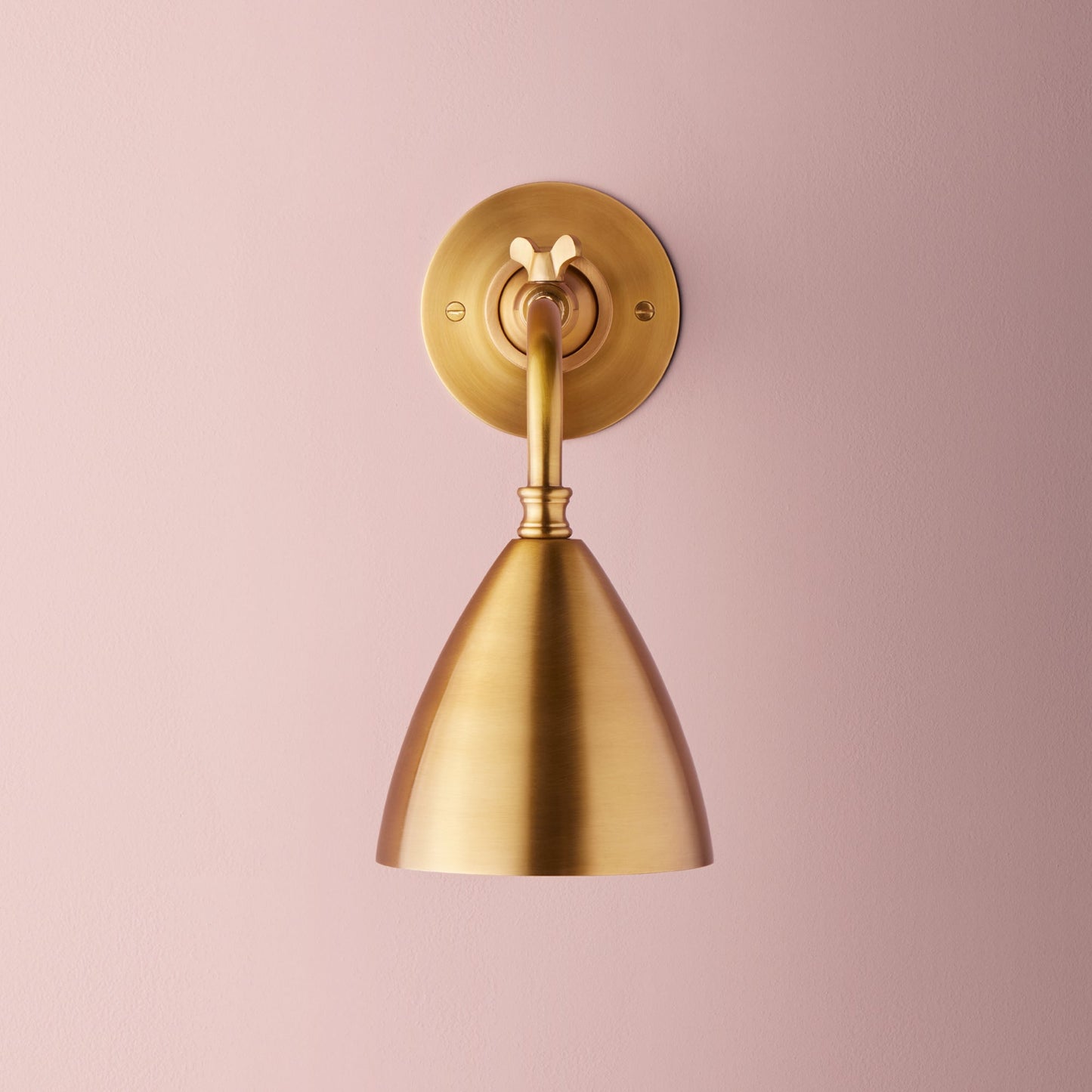 Clematis Wall Light in Antiqued Brass