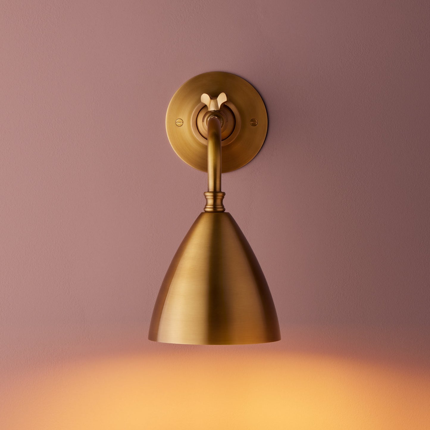 Clematis Wall Light in Antiqued Brass