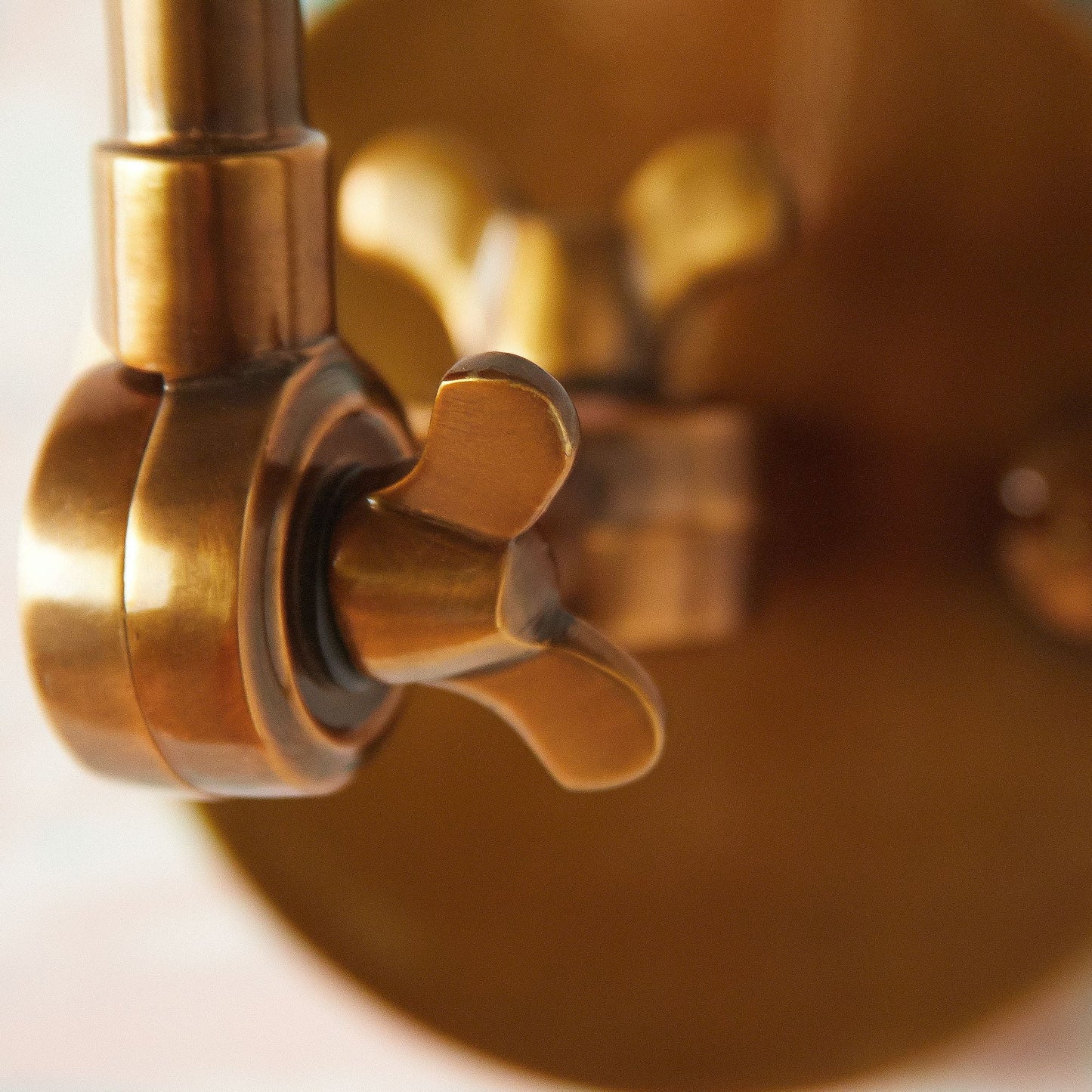 Jasmine Wall Light in Antiqued Brass